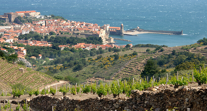 Collioure and the Royal Castle of Collioure