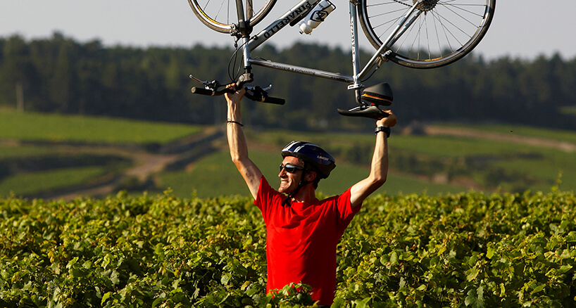 Visiting Bourgogne vineyards by bike