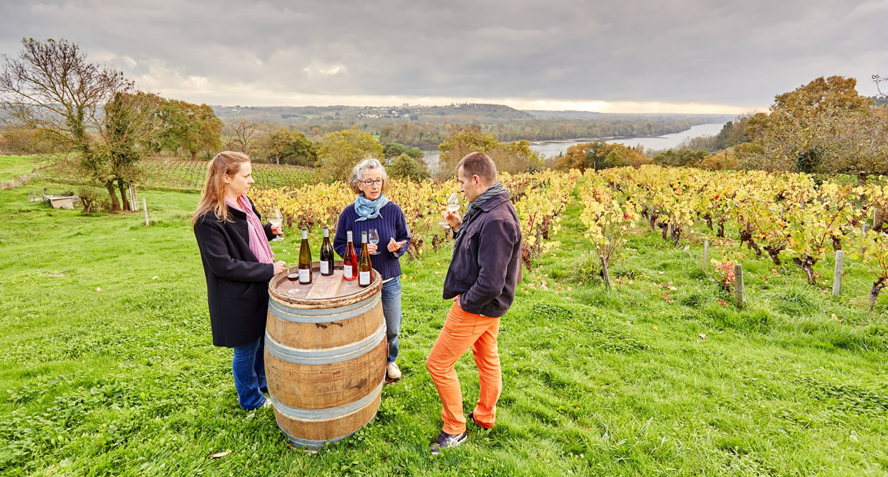 « Wine-tasting introduction to the Domaine des Génaudières wines - Le Cellier » © A. Lamoureux
