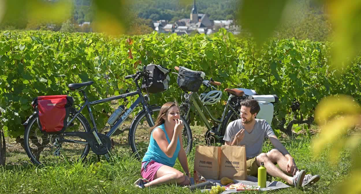 A vélo dans le vignoble de la Vallée du Loir - Chahaignes © J. Damase