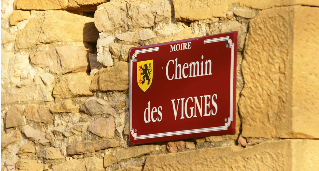 Chemin des vignes in Moire, Beaujolais des Pierres Dorees © Daniel Gillet Inter Beaujolais