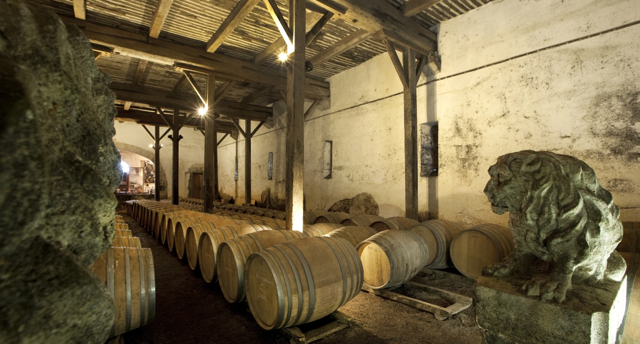 Visite du chais et dégustation de vins au Château Raissac ©Olivier Maynard