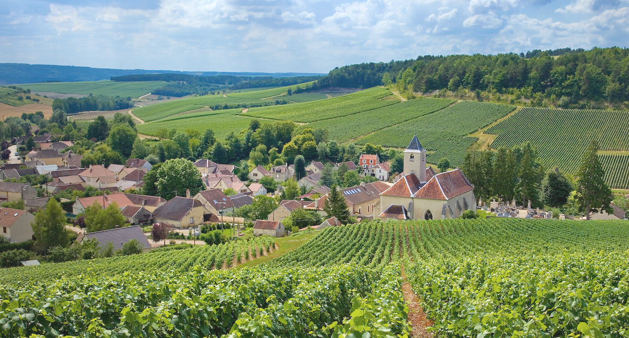 Visit of Epernay & Multiple Champagne Tastings in a Vineyard