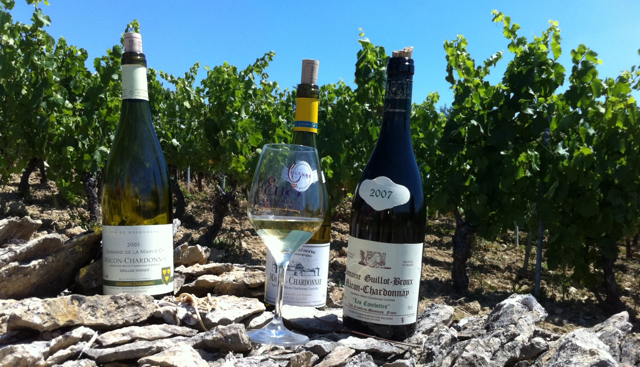 Wine and cultural experiences in Burgundy ©enoculture