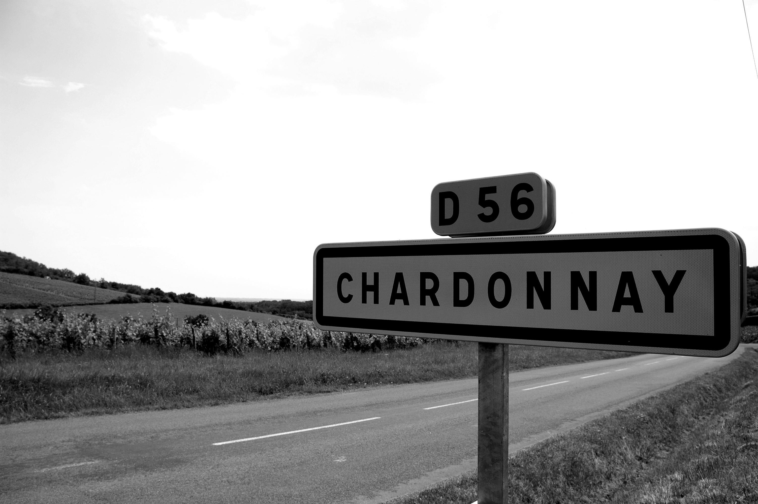 Chardonnay village, vineyard of Burgundy © Getty - W Vanbragt