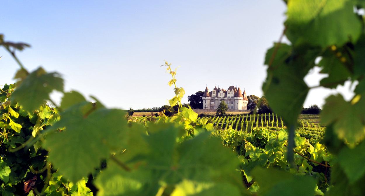 vineyard tours bergerac