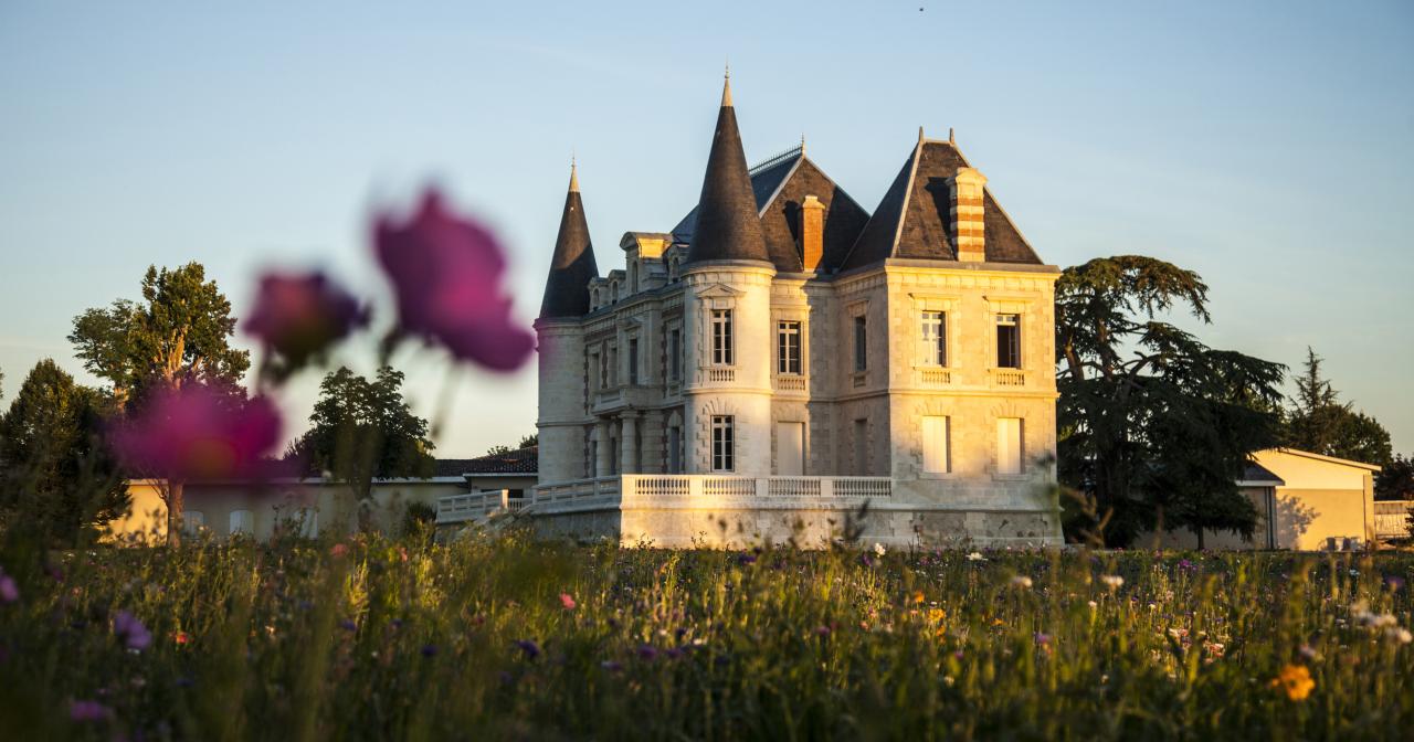 Château Lamothe Bergeron, vignoble de Bordeaux ©Andy Julia