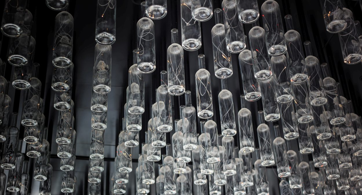 Plafond de bouteilles © David Remazeilles