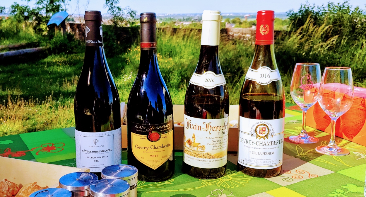 Dégustation dans les vignes avec le Clos de Bourgogne @S Lanaud