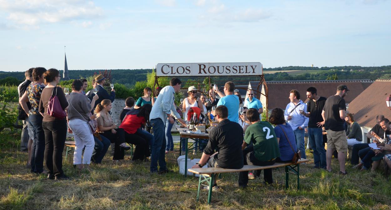 Domaine du Clos Roussely, Loire Valley vineyard