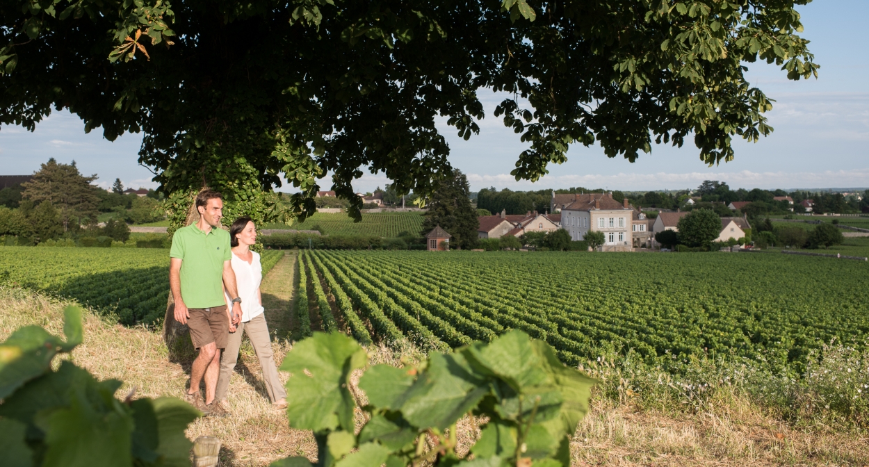 Visits and wine tastings in Bourgogne © Domaine Jeannin-Naltet