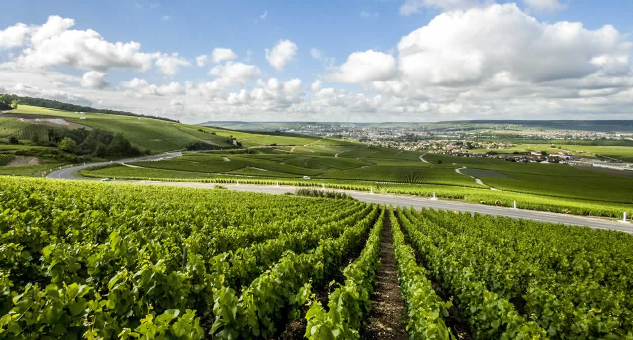 champagne tours sur marne