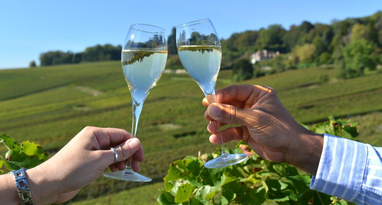 Visit the Champagne vineyards - wine tourism