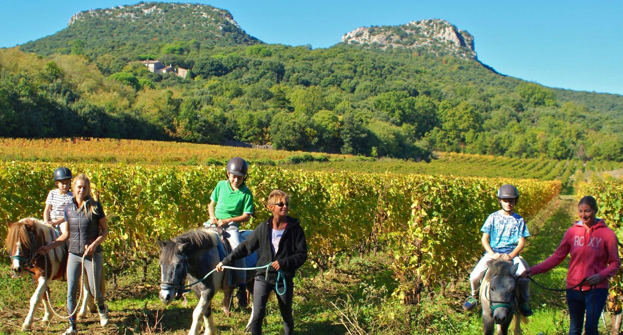 Les Vignes Réboussières balade à dos d’ânes dans les vignes © Les Vignes Réboussières 