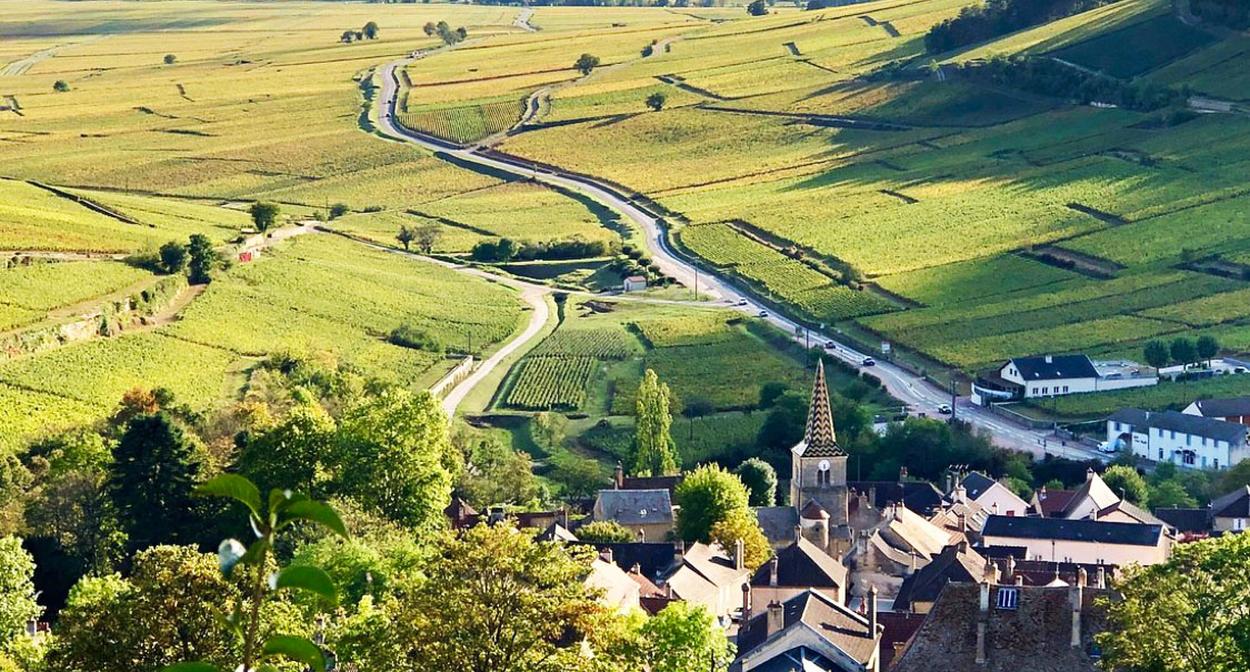 Experience oenotouristique en Bourgogne © Divignes