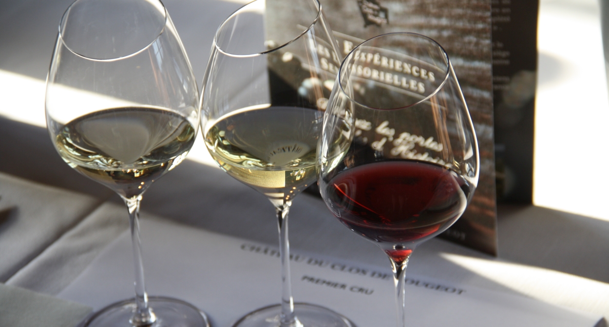 The wines of Bourgogne © Alicia Prenot