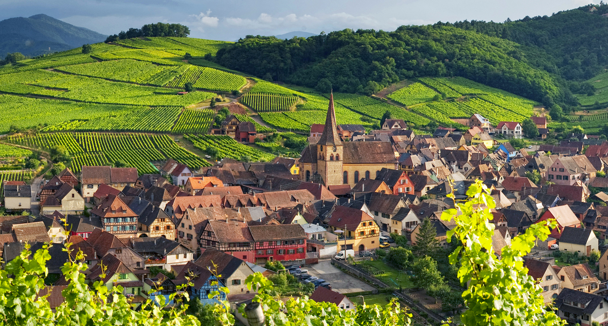 Visit the Alsace vineyards - wine tourism