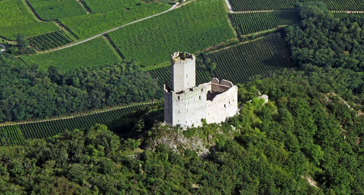 Ortenbourg château@ VUANO-ConseilVinsAlsace