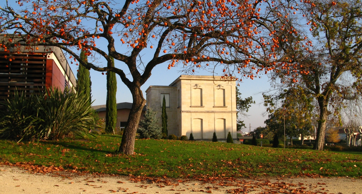 Visit Château Luchey Halde © Savinien Groshens