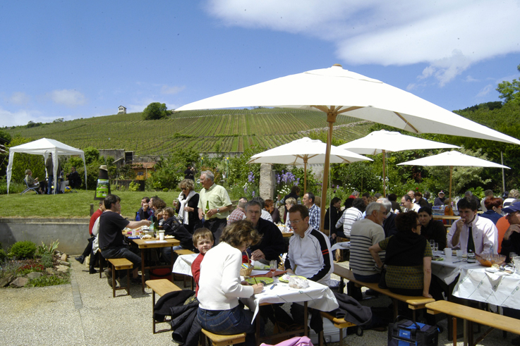 Picnic in the vineyards of Alsace © Synvira