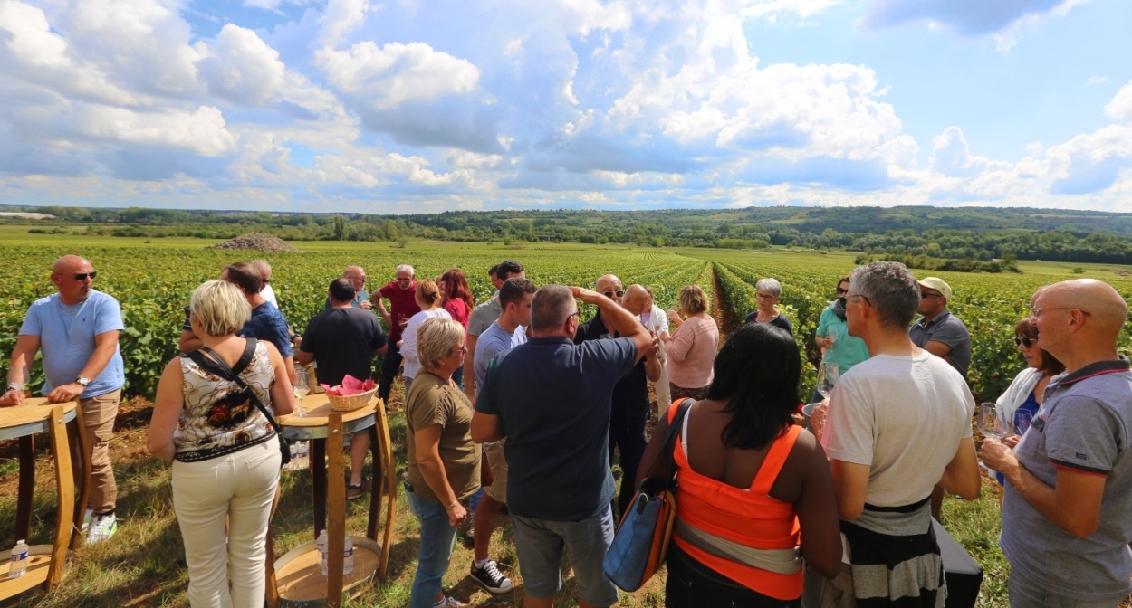 Dégustation dans les vignes de Bourgogne avec RP Events ©RolandPetriccione