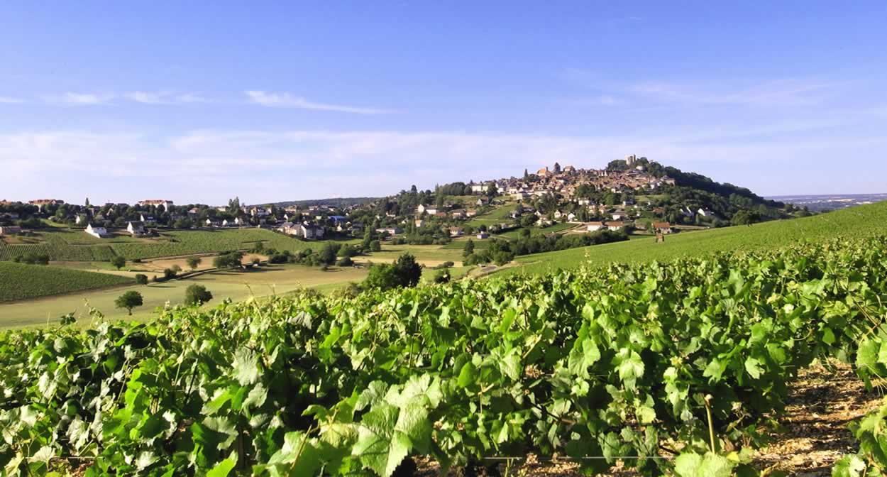 Sancerre - Loire Valley vineyard © Christophe Mouton