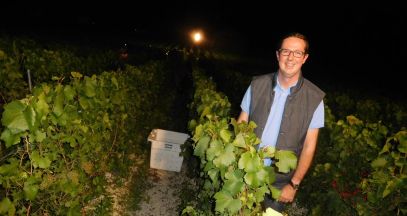 Bertrand Trepo - harvesting by night in Champagne © Philippe Jacquemin