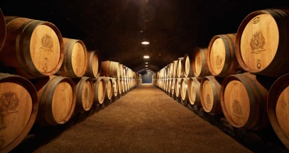 Wine cellar in the vineyard of Burgundy © Château de Pommard