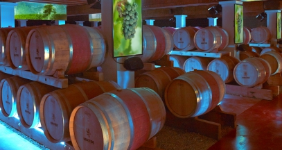 Chais à barrique dans le vignoble de gaillac circuit vins du sud ouest ©Caves de 