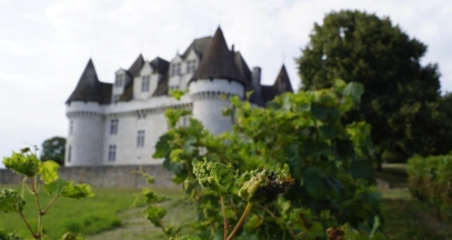 Château de Monbazillac, Bergerac vineyard © MC Grasseau