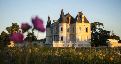 Château Lamothe Bergeron, Bordeaux vineyard ©Andy Julia