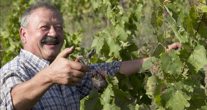 Jean-Luc Matha, Marcillac, South West vineyard