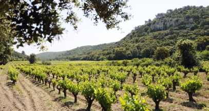 Lirac's vineyards©CédricPrat