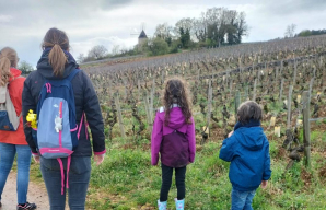 Strolling through the vineyards of Burgundy @ PasduVigneron