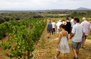 Crest Petit Roussillon vineyard walks in the vines discovery ©Dom Brial