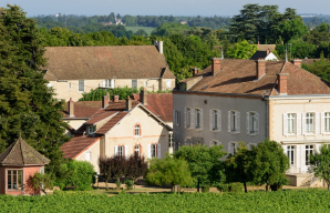 Propriété viticole familiale © Domaine Jeannin-Naltet
