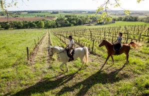 Horse back riding through the vineyards © Interprofession des Vins de Bergerac et de Duras