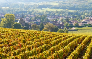 Santenay route des vins de Bourgogne ©Alain Doire Bourgogne tourisme
