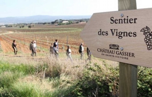 Sentier des vignes du Château Gassier montagne sainte victoire Provence ©DR