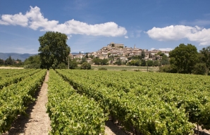 Hillside villages of Luberon ©Inter Rhône