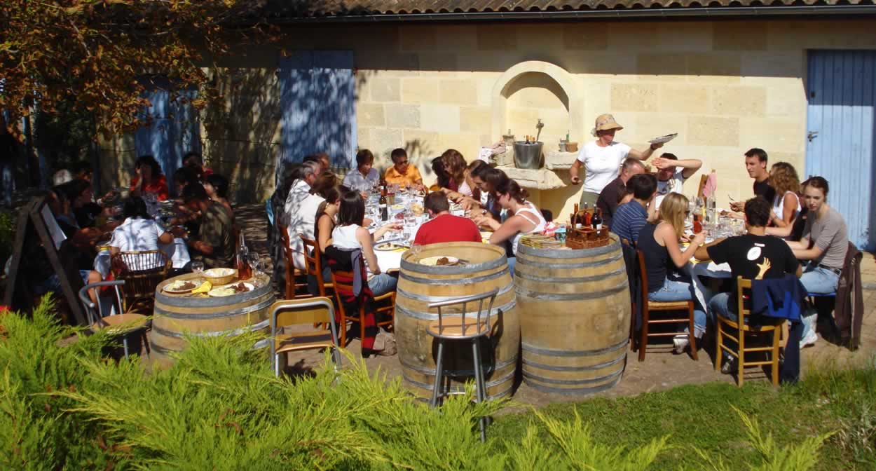 Bordeaux, Blaye & Bourg wine harvest © Pays de la Haute Gironde
