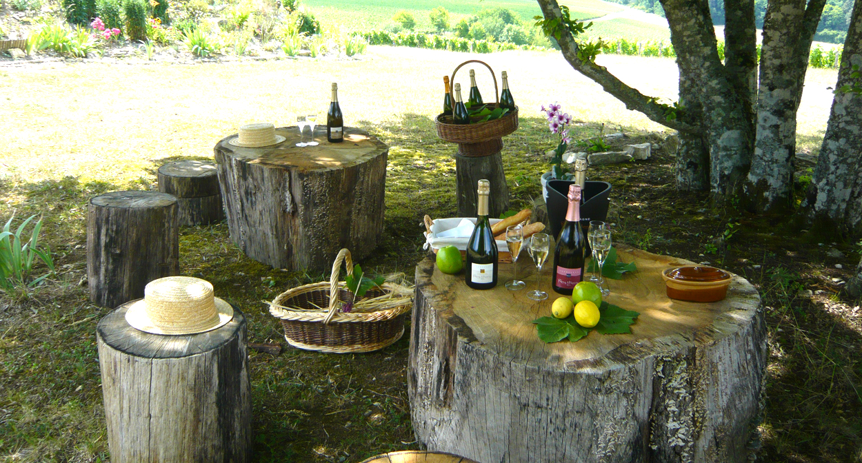 best champagne tours