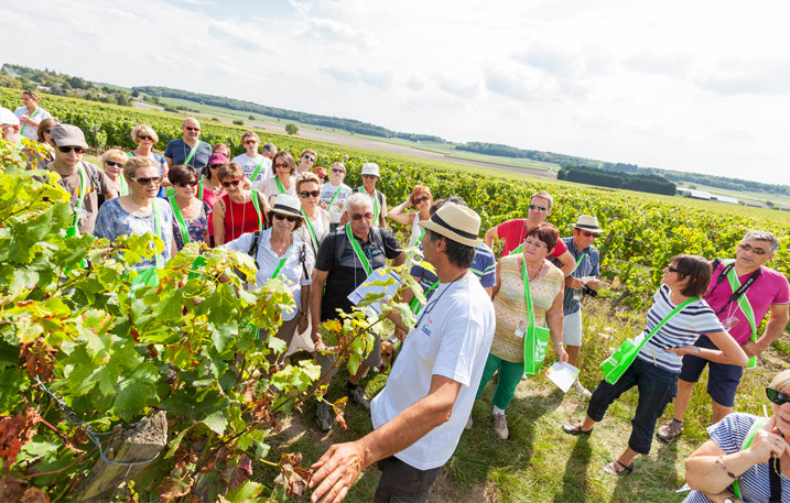 Vines, Wines and Walks in the Loire Valley @Interloire - Stevens Fremont