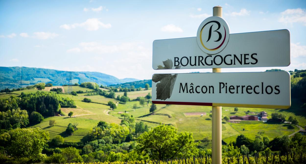 Mâcon, South Burgundy ©Emilie Fevre